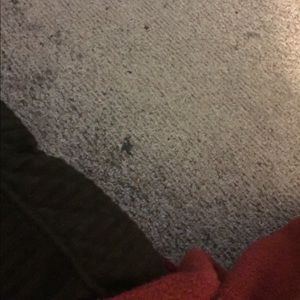 Meet your Posher, Jordan