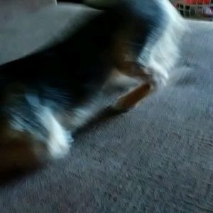 Meet your Posher, Cedric