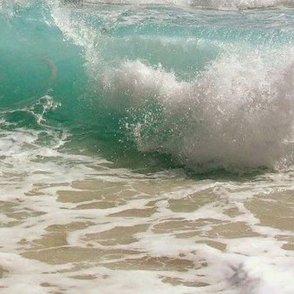 Meet your Posher, Rosita