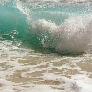 Meet your Posher, Rosita