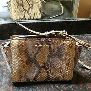 Beautiful snakeskin