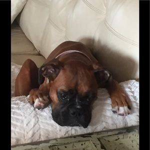 Meet your Posher, Marne