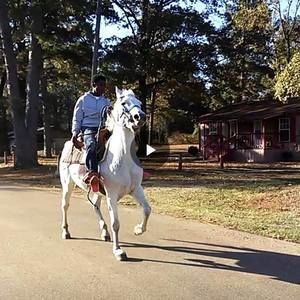 Meet your Posher, Xavier