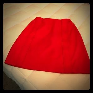 1960 skirt