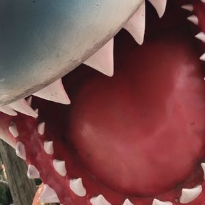 Meet your Posher, Latimah