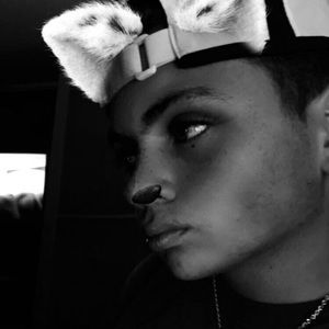 Meet your Posher, Dante