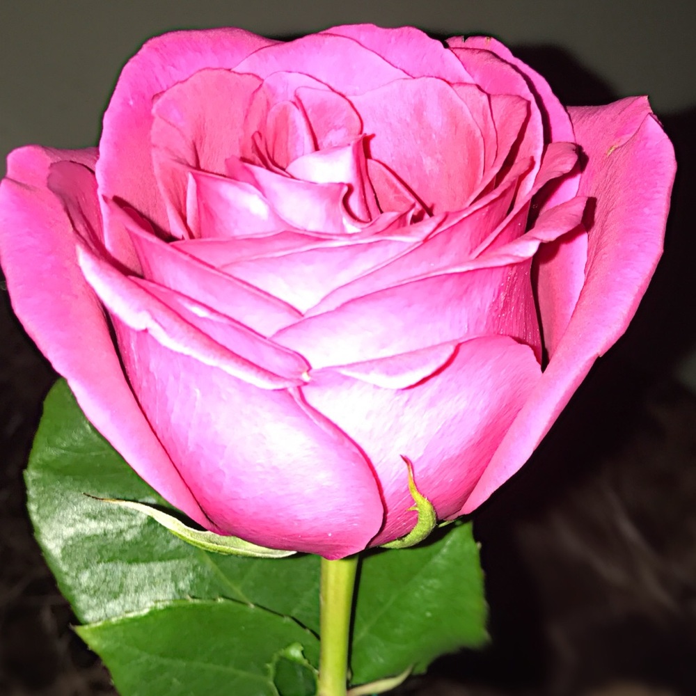 Meet your Posher, Gabriela