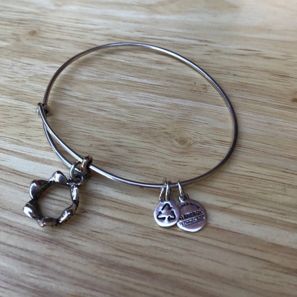 Silver crown Alex & Ani bracelet