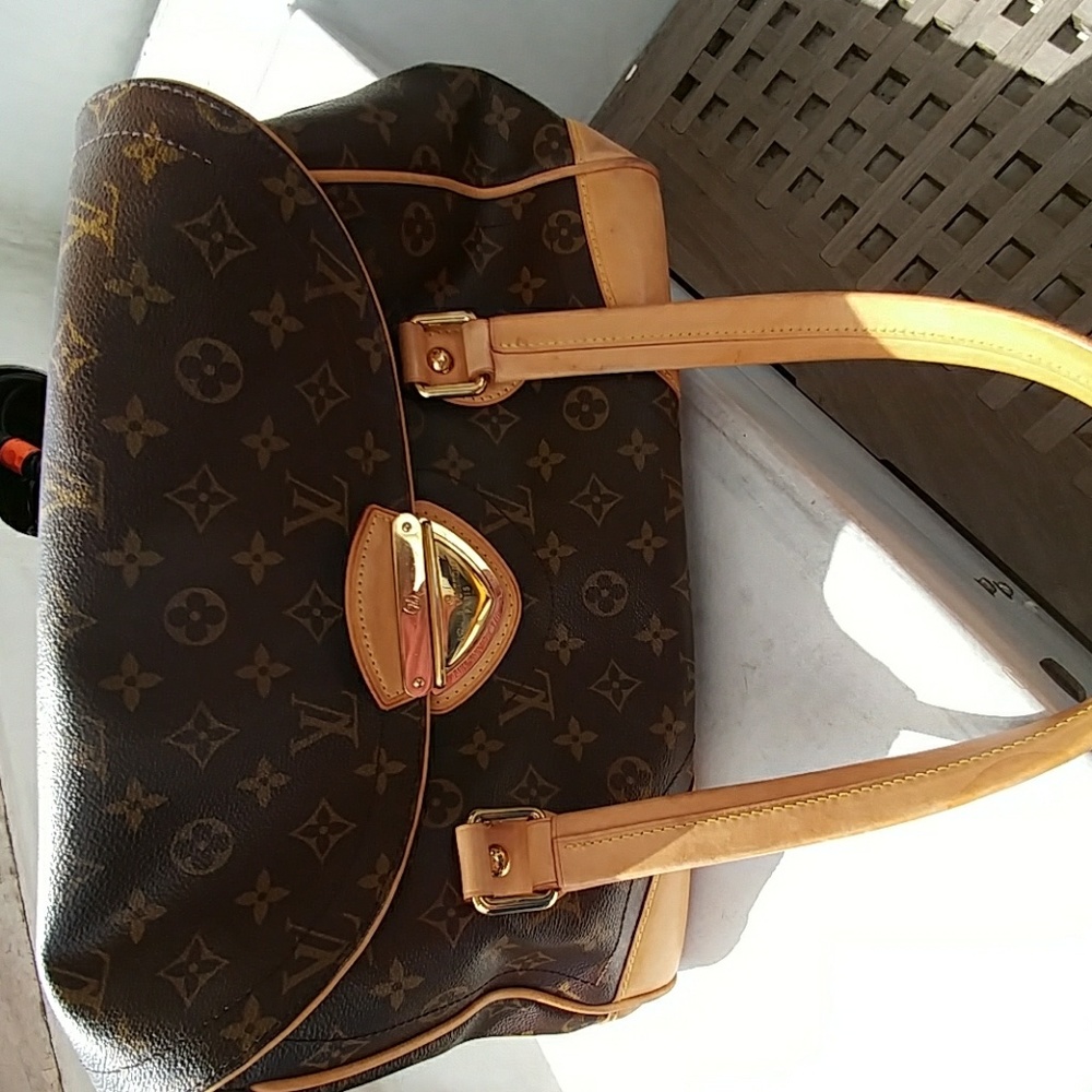 Louis vuitton purse