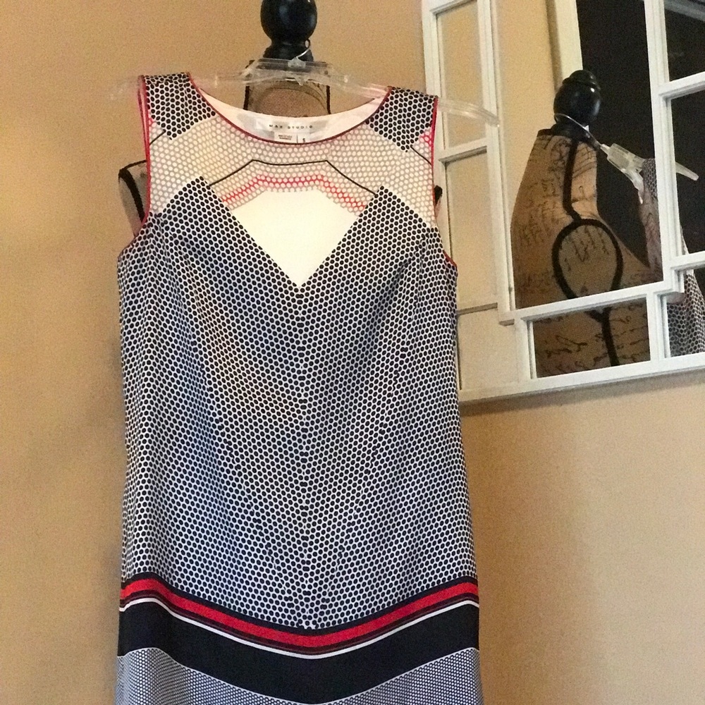 Cute dress from Max Studio collection