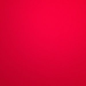 Meet your Posher, Bruce