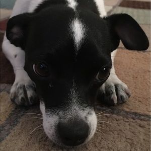 Meet your Posher, Travis