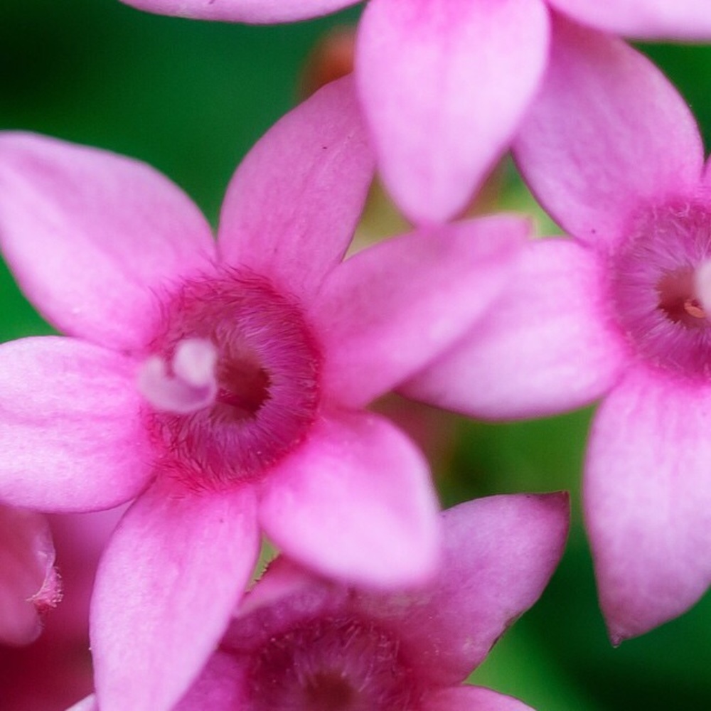 Meet your Posher, Margaret