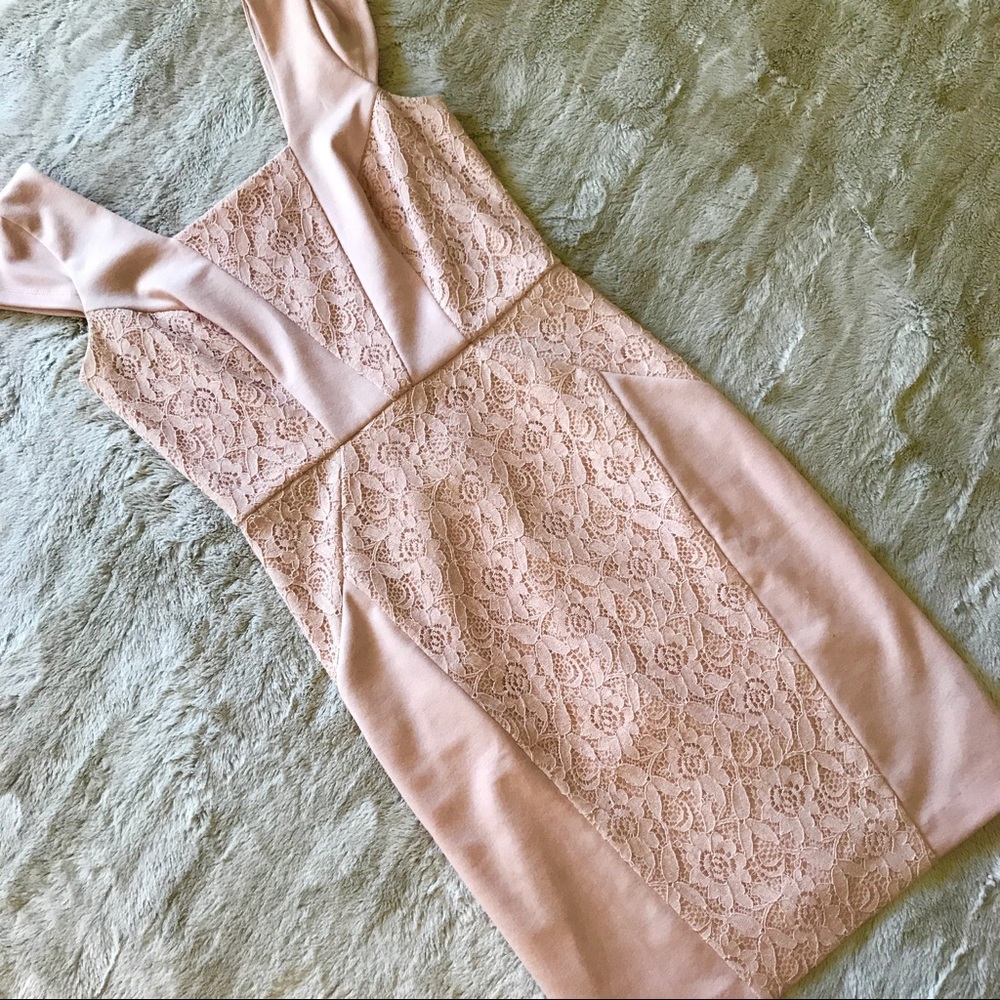 The Limited Blush Lace Dress