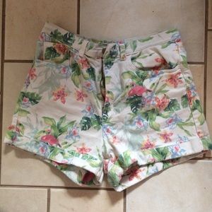 American apparel shorts