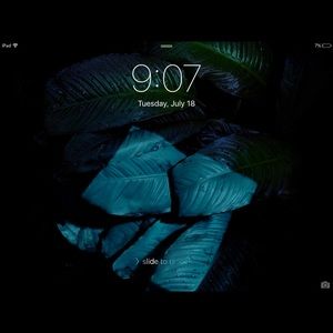 Meet your Posher, Cheyenne