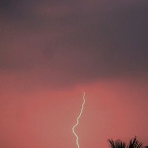 Meet your Posher, Estrella