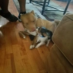 Meet your Posher, Rhonda