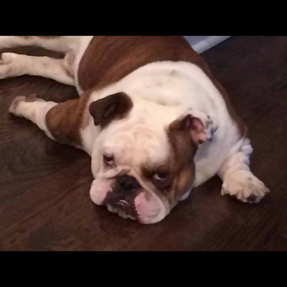 Meet your Posher, Sandra