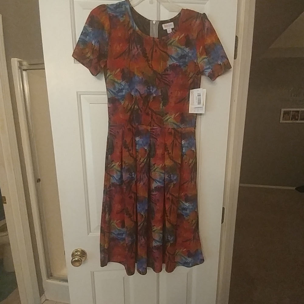 *BNWT Beautiful LulaRoe Amelia dress*