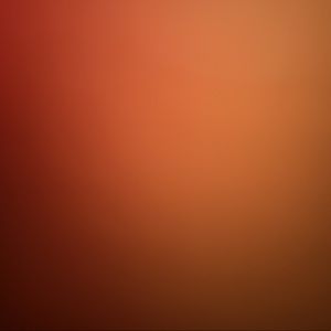 Meet your Posher, Lexi