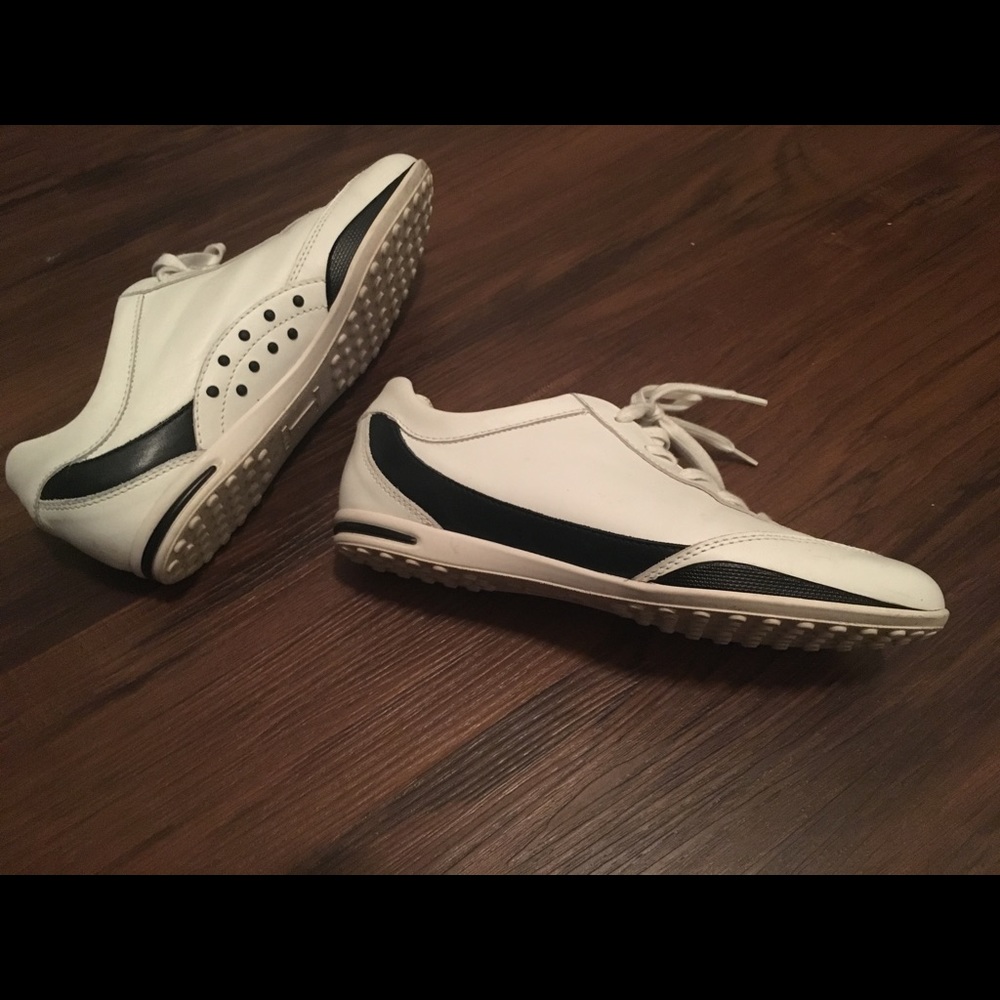 Tods sneakers