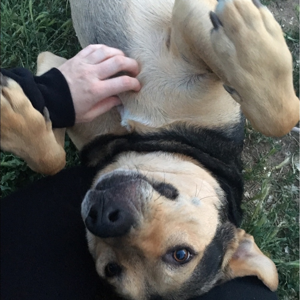 Meet your Posher, Angela