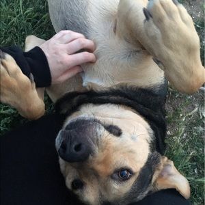 Meet your Posher, Angela