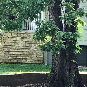 Meet your Posher, Bekki