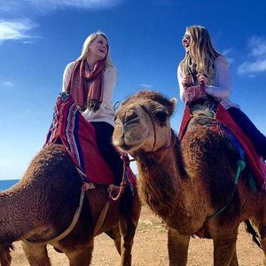 Meet your Posher, Ellie