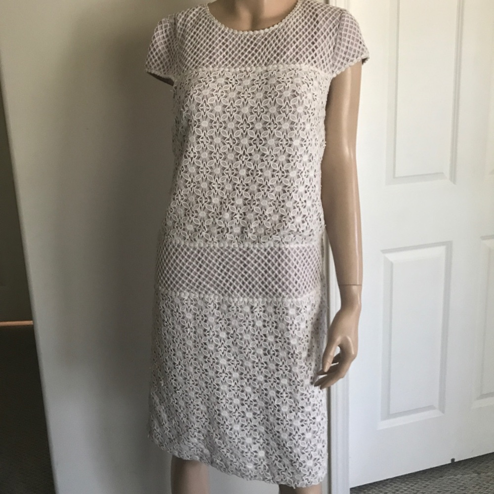 Lily's Boutique Dress
