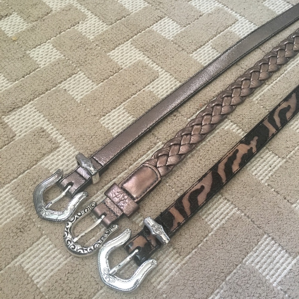 Brighton Belt Bundle