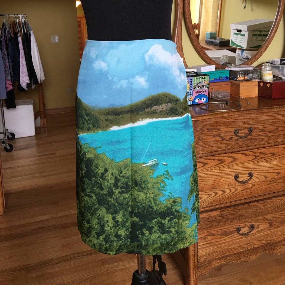 NWOT Express skirt