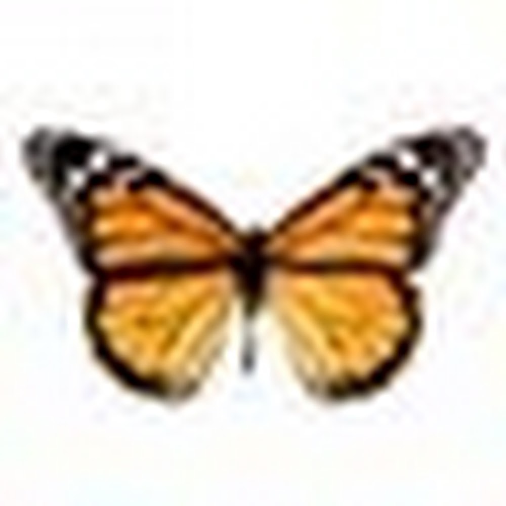 Meet your Posher, Olivene