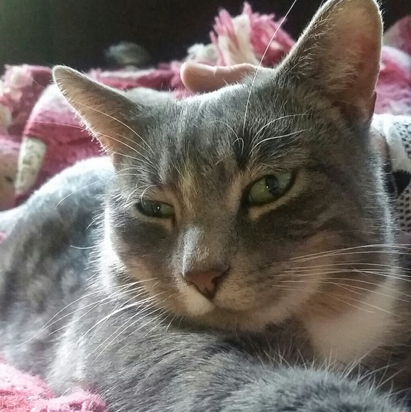 Meet your Posher, Jen - Picture 4 of 4