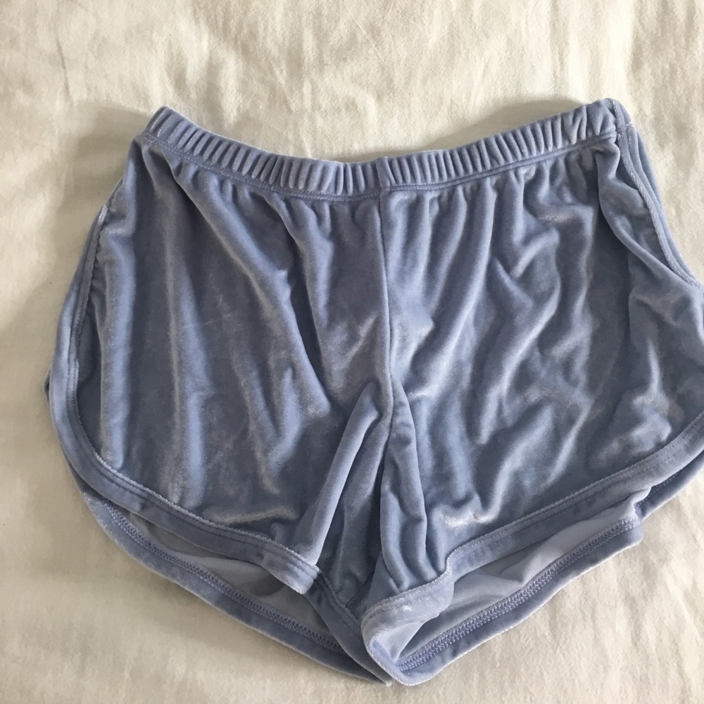 NWT Brandy Melville Velvet Shorts