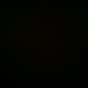 Meet your Posher, Lenny