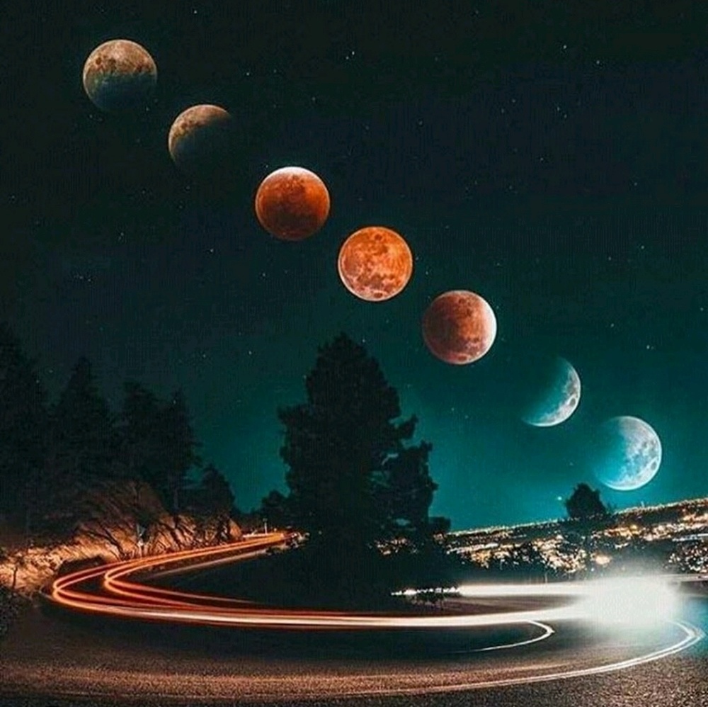 Meet your Posher, Sydney