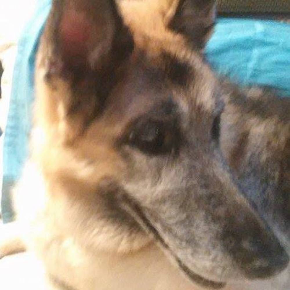 Meet your Posher, Deb