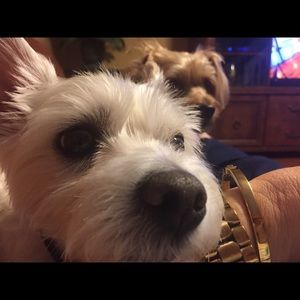 Meet your Posher, Kathi