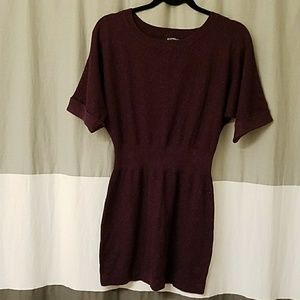 Express size Small purple shirt dress