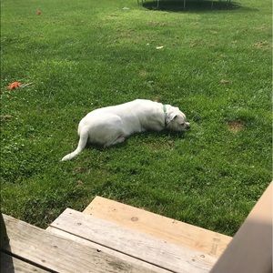 Meet your Posher, Christina