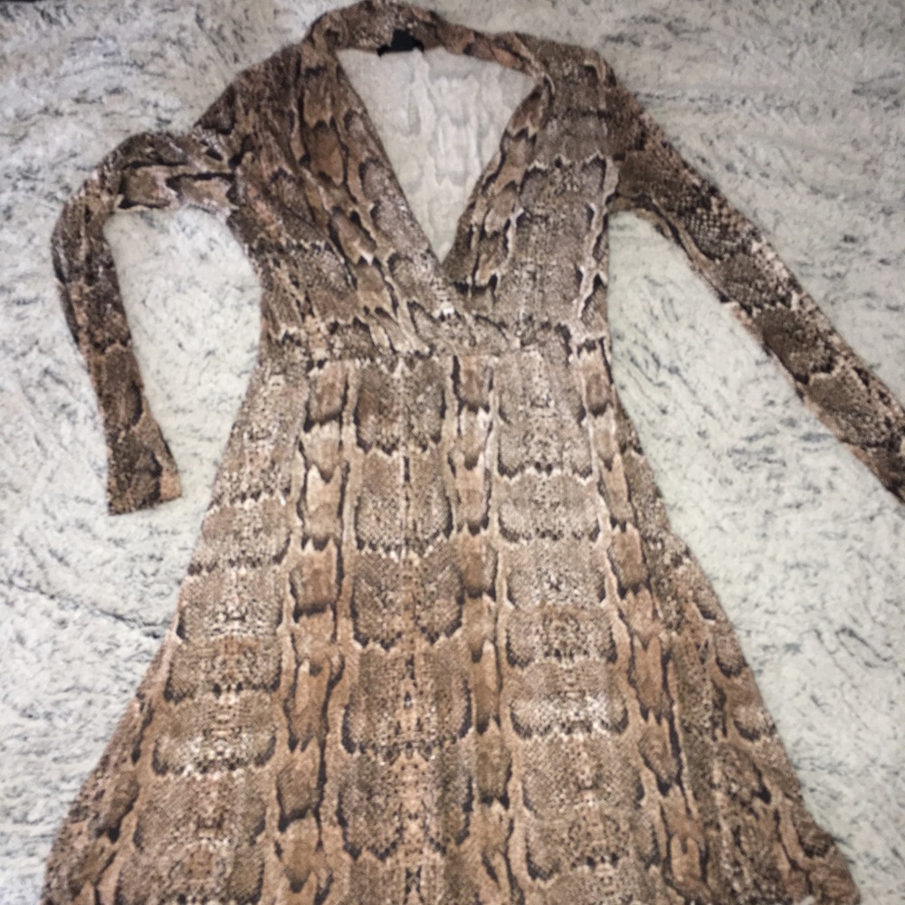 H&M Snakeskin Dress