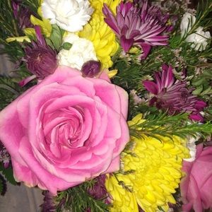 Meet your Posher, Lina