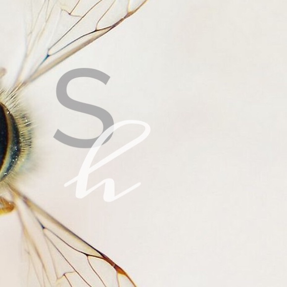 Hello ✨ - Picture 6 of 6