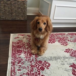 Meet your Posher, Jamie