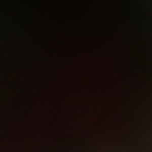 Meet your Posher, Reyna