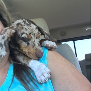 Meet your Posher, Ellen