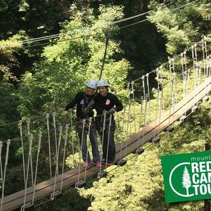 Meet your Posher, Bobbi