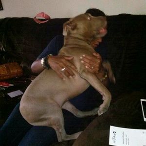 Meet your Posher, Tyona